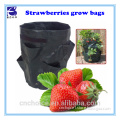 Home & garden supplies plant grow nursery bags for strawberries